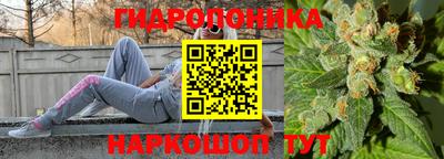 мдпв Ставрополь