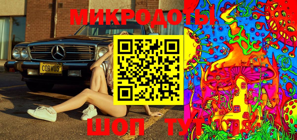 Псилоцибиновые грибы Psilocybe Осинники